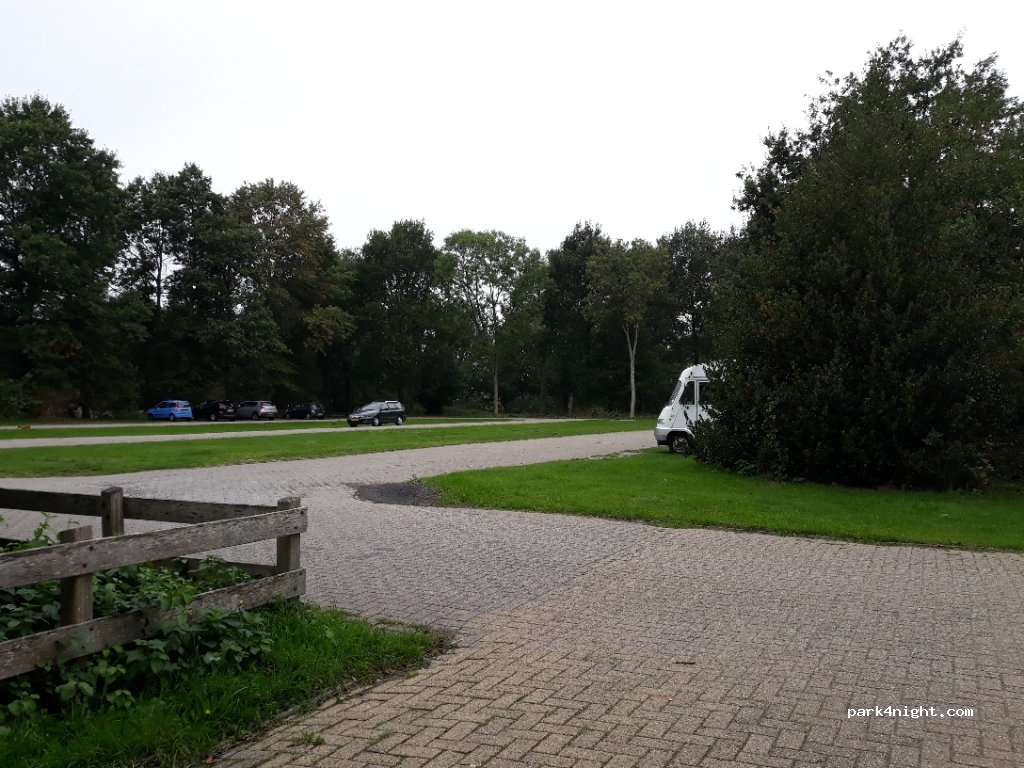 (8445 RV) Heerenveen - 16 Waterranonkel — foto
