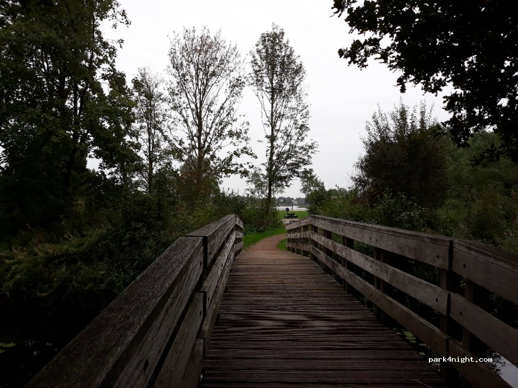 (8445 RV) Heerenveen - 16 Waterranonkel — foto 2