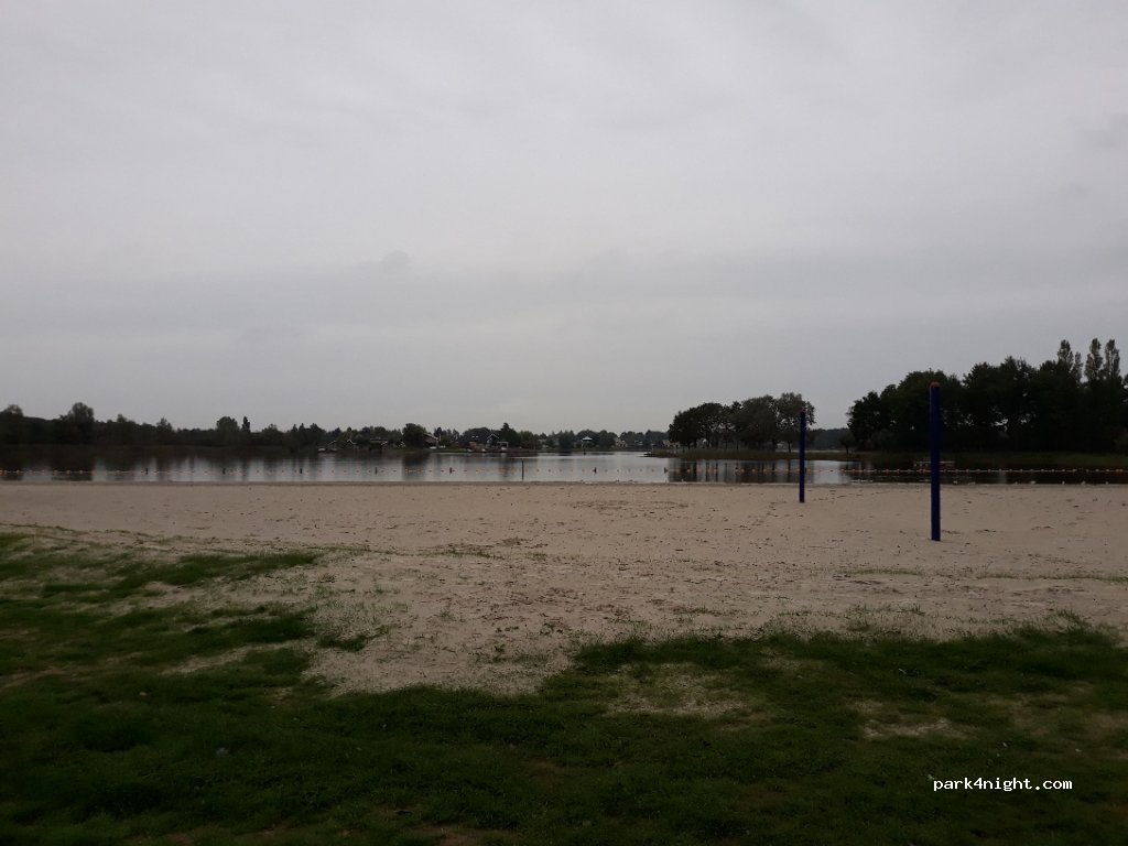 (8445 RV) Heerenveen - 16 Waterranonkel — foto 3