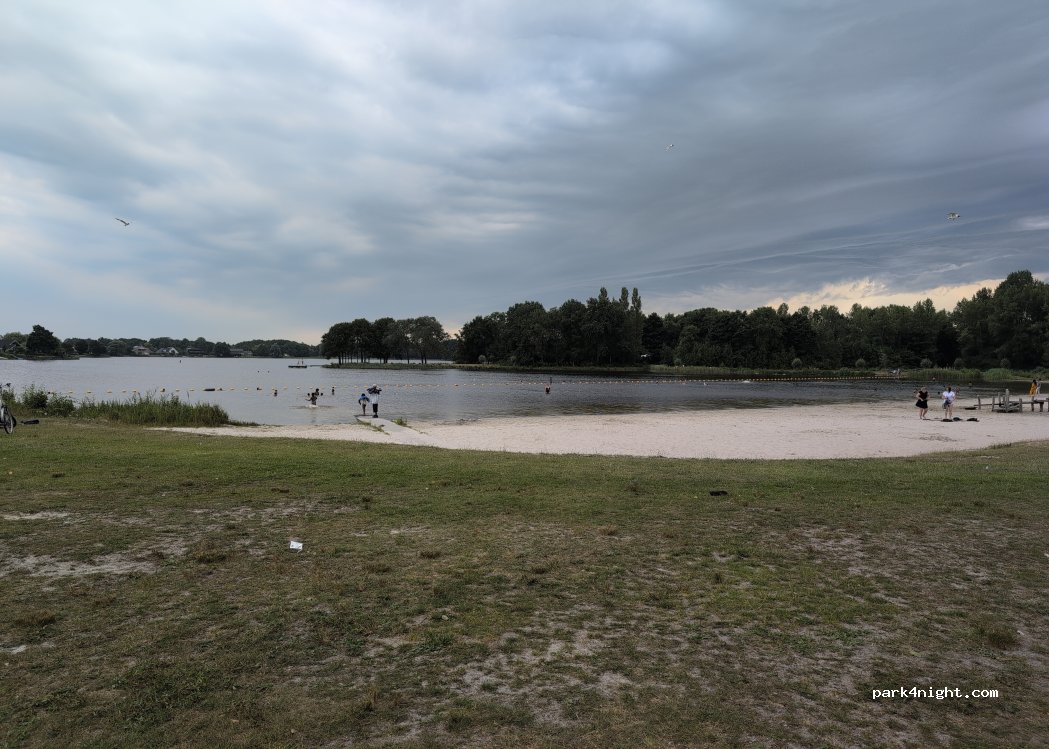 (8445 RV) Heerenveen - 16 Waterranonkel — foto 4
