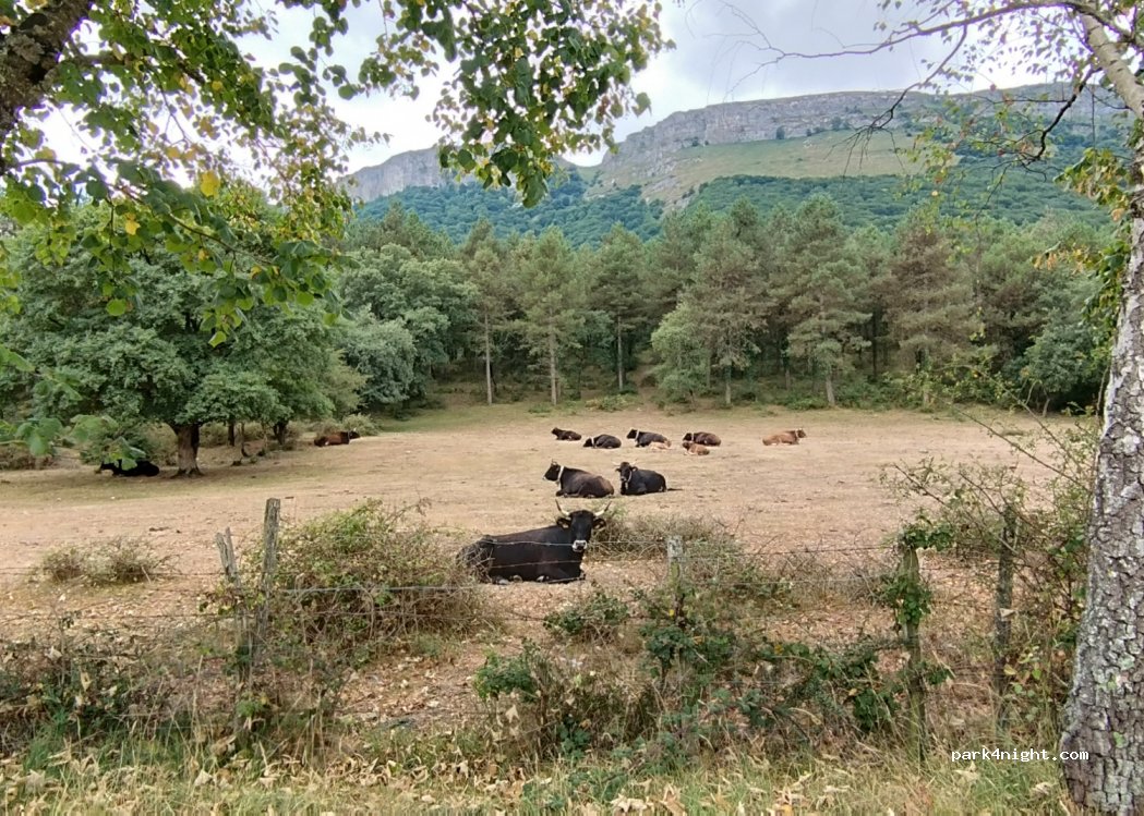 (48460) Urduña - 43 Lendoño de Arriba Auzoa — foto 3