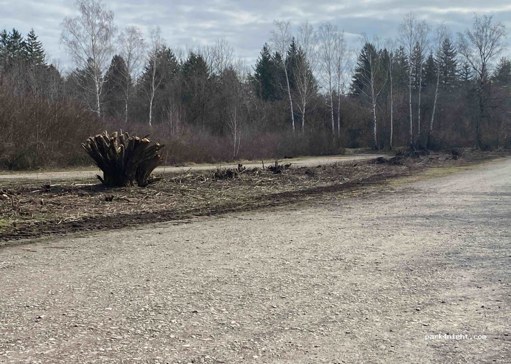 Parkplatz Weitmannsee — foto 4