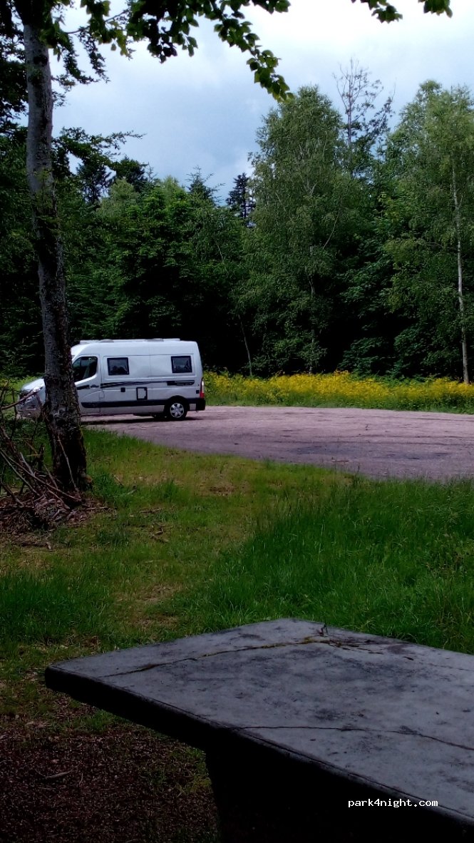 (88230) Fraize - Col de Mandray — foto 3