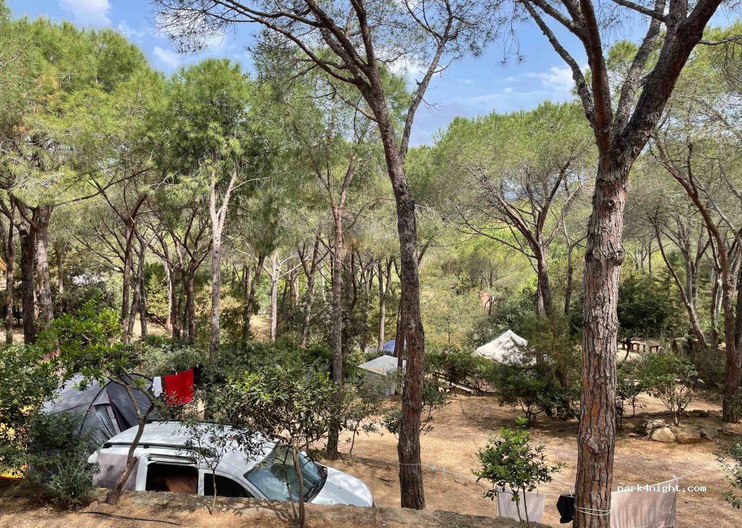 Camping & Bungalows Porto Sosàlinos — foto 2