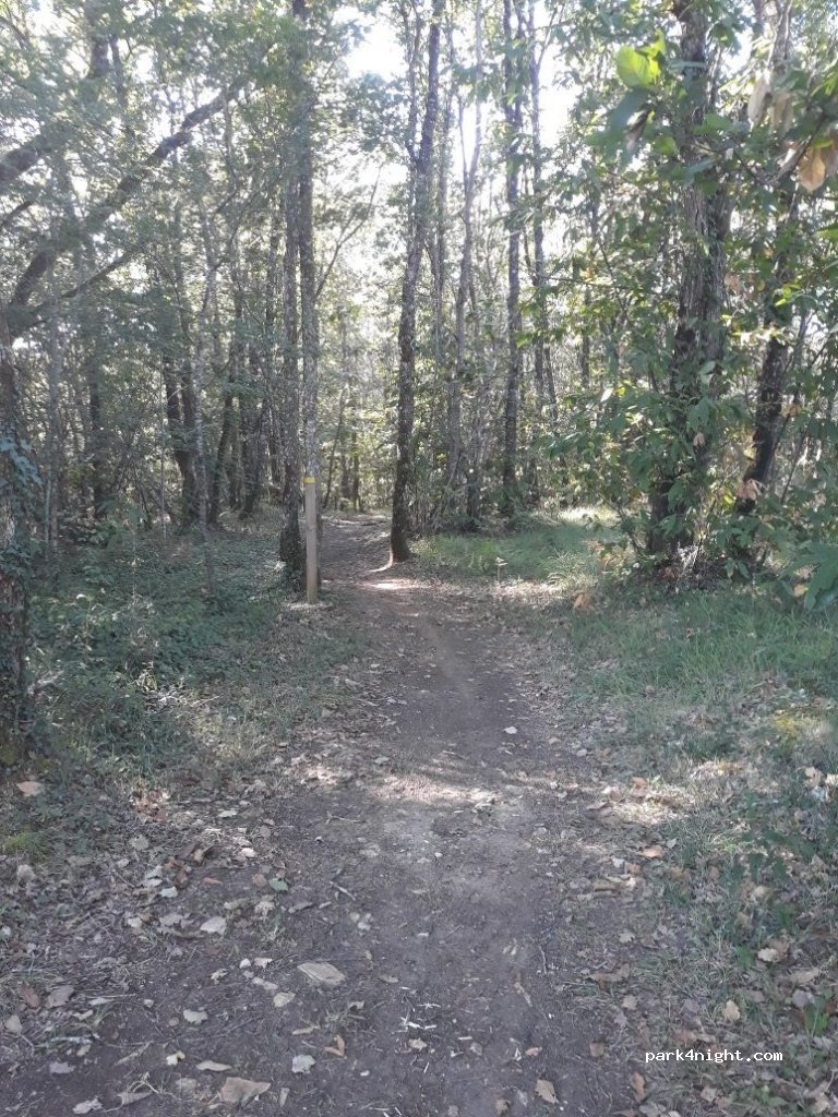 (24150) Couze-et-Saint-Front - Unnamed Road — foto 3