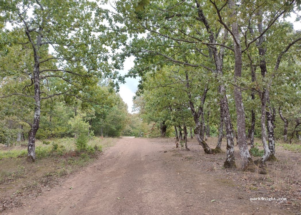 (8172) Evrenozovo - Unnamed Road — foto 3