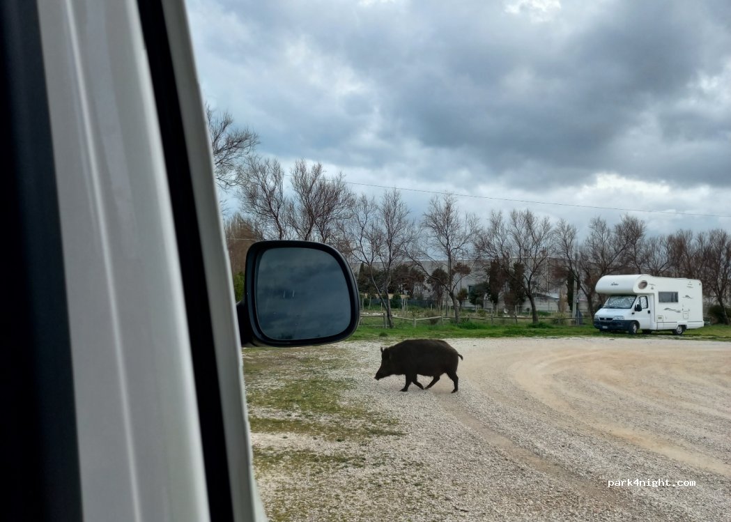 (66054) Vasto - Unnamed Road — foto 3