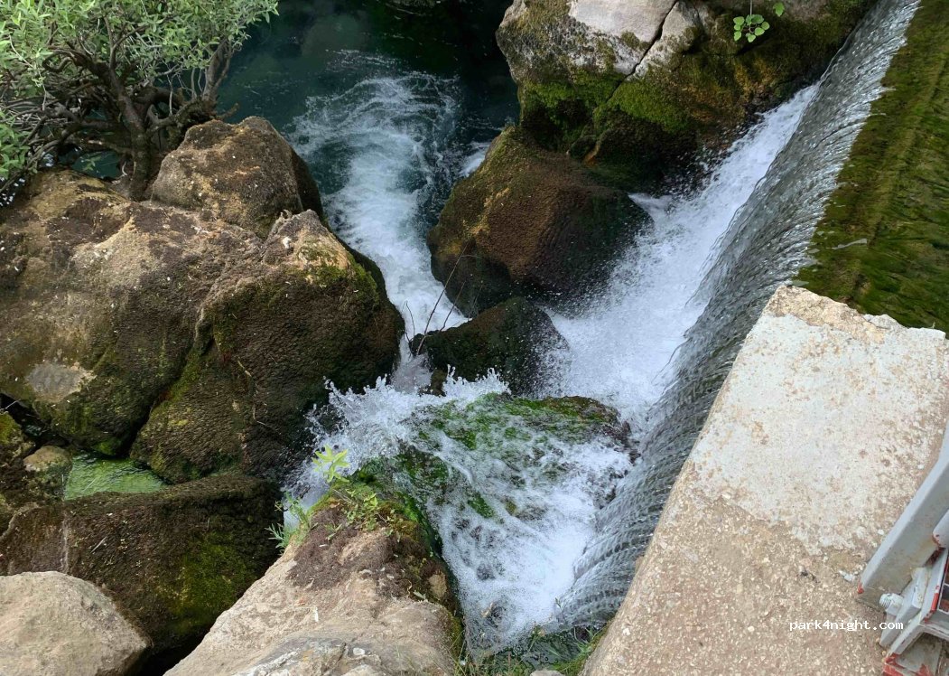 (29370) Benaojan, Ronda - 1 Partida Dehesilla — foto 4