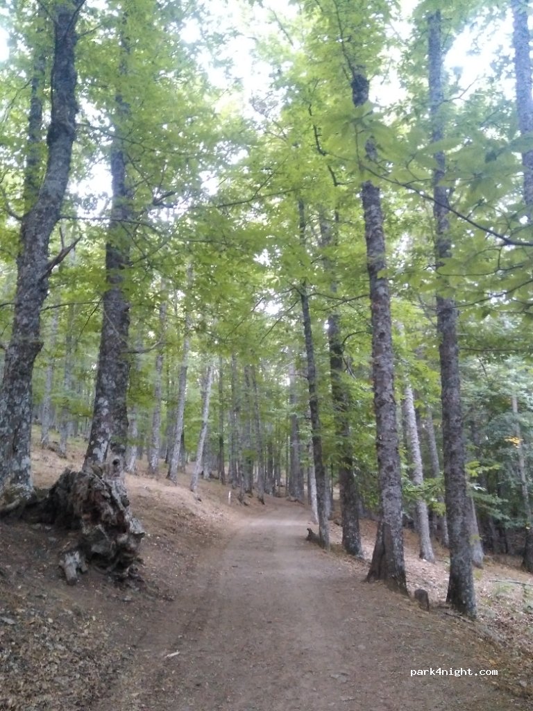 (05279) El Tiemblo - Unnamed Road — foto 2