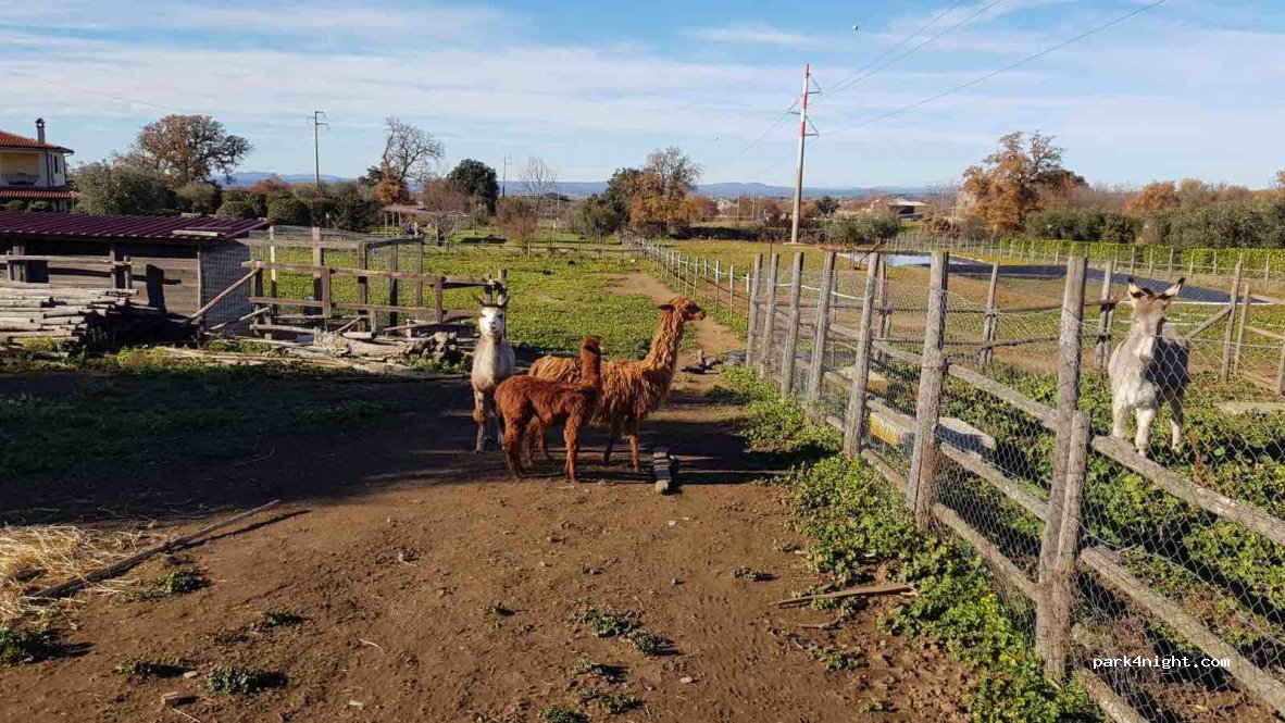 (01100) Viterbo - Strada Pian di Tortora — foto