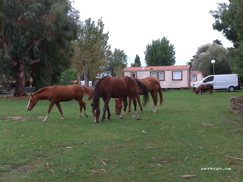 Camping l’Esperanza — foto 2