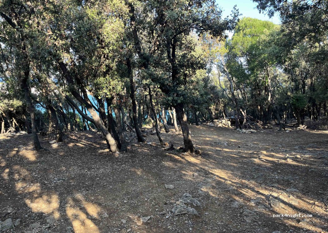 (51554) Punta Križa - Unnamed Road — foto