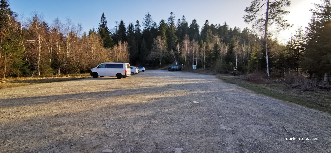 (76597) Loffenau - — foto