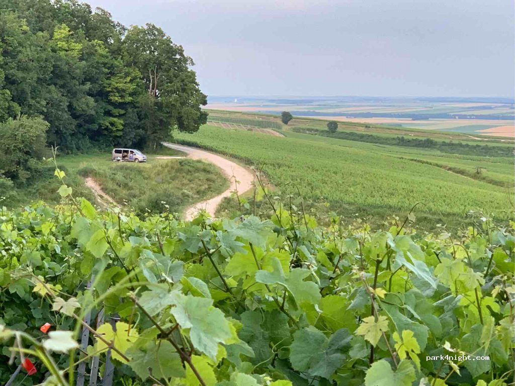 (51150) Bouzy - Unnamed Road — foto