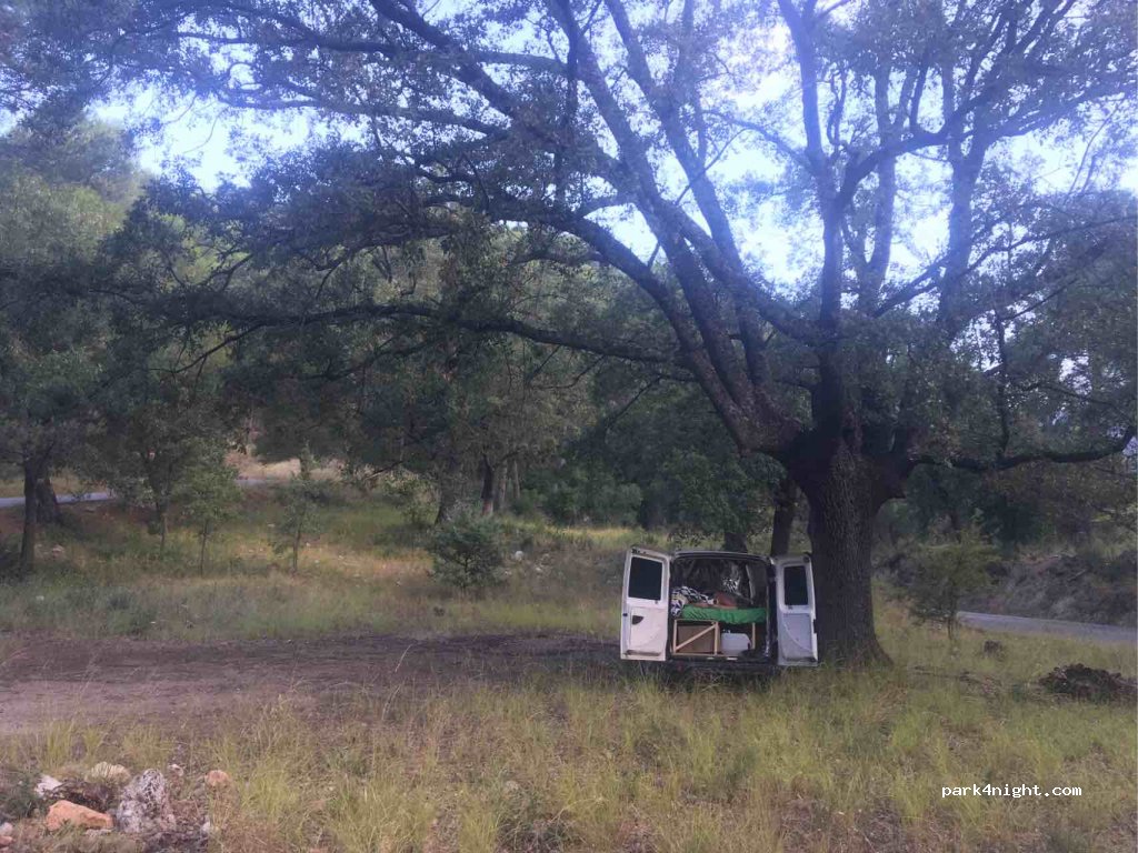 (23196) Jaén - Unnamed Road — foto