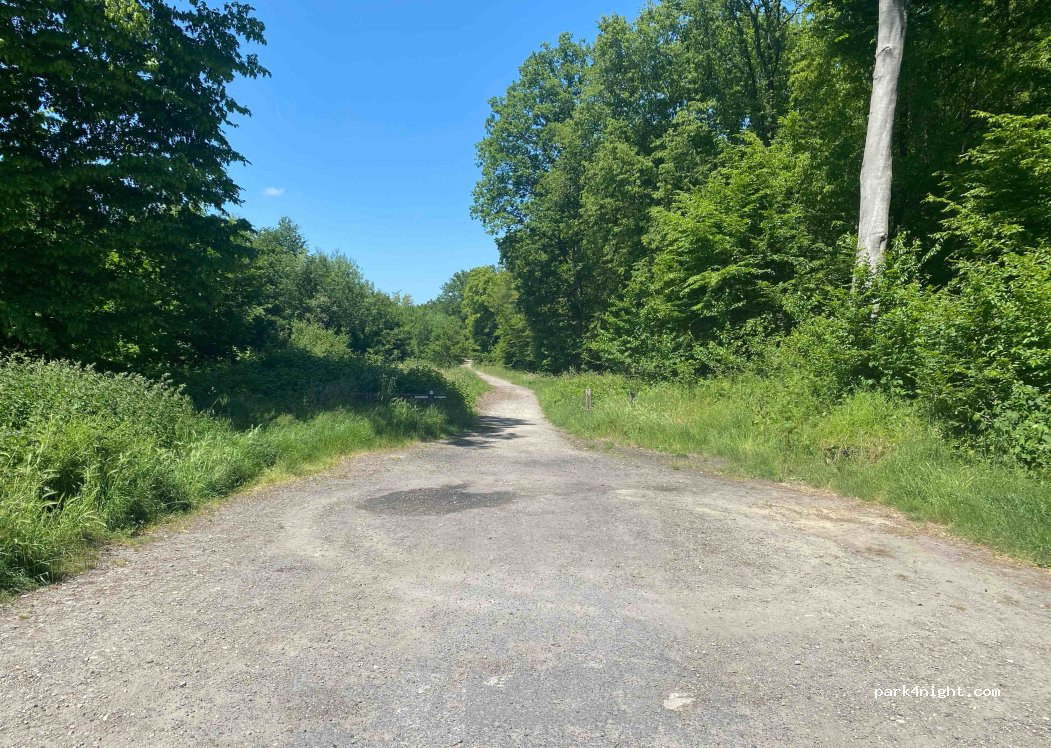 (60950) Ver-sur-Launette - 106 Forêt de Ver — foto 3