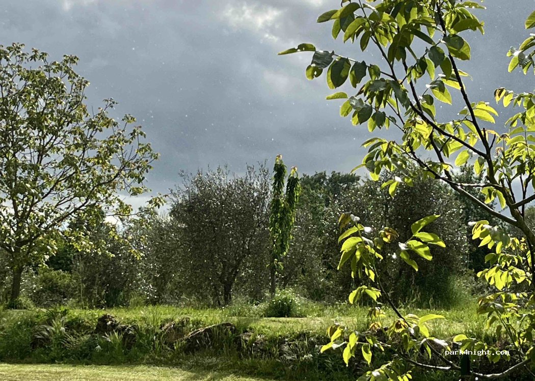Agriturismo Il Vecchio Fienile — foto 5