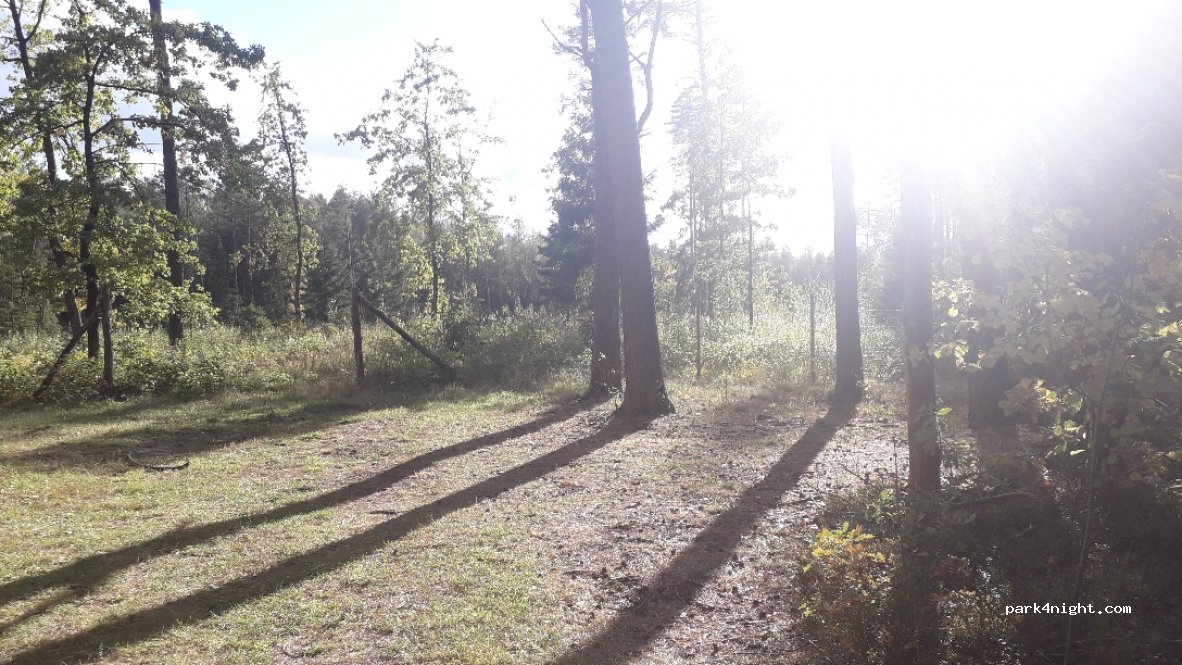 (38268)  - Unnamed Road — foto