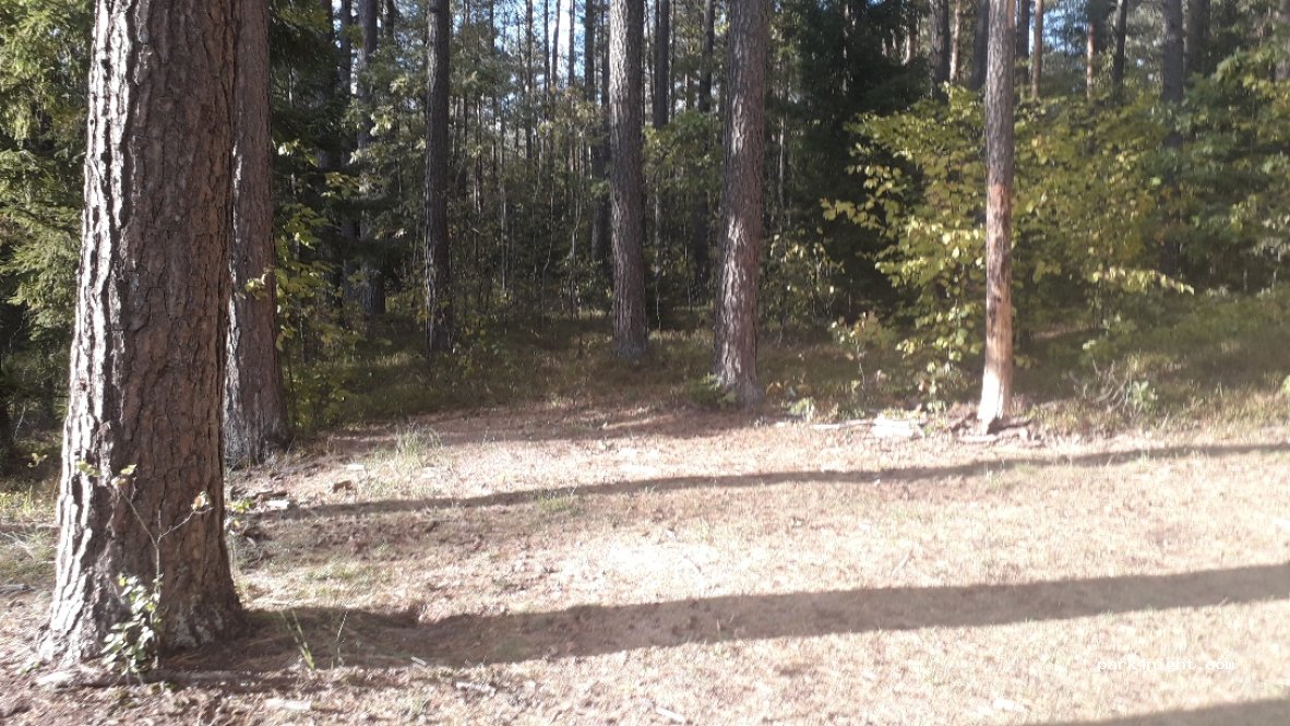 (38268)  - Unnamed Road — foto 2