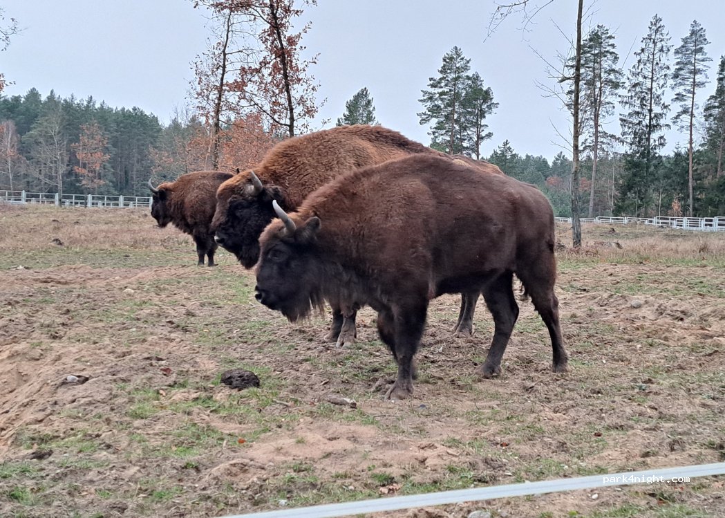 (16-030) Supraśl - Unnamed Road — foto 5
