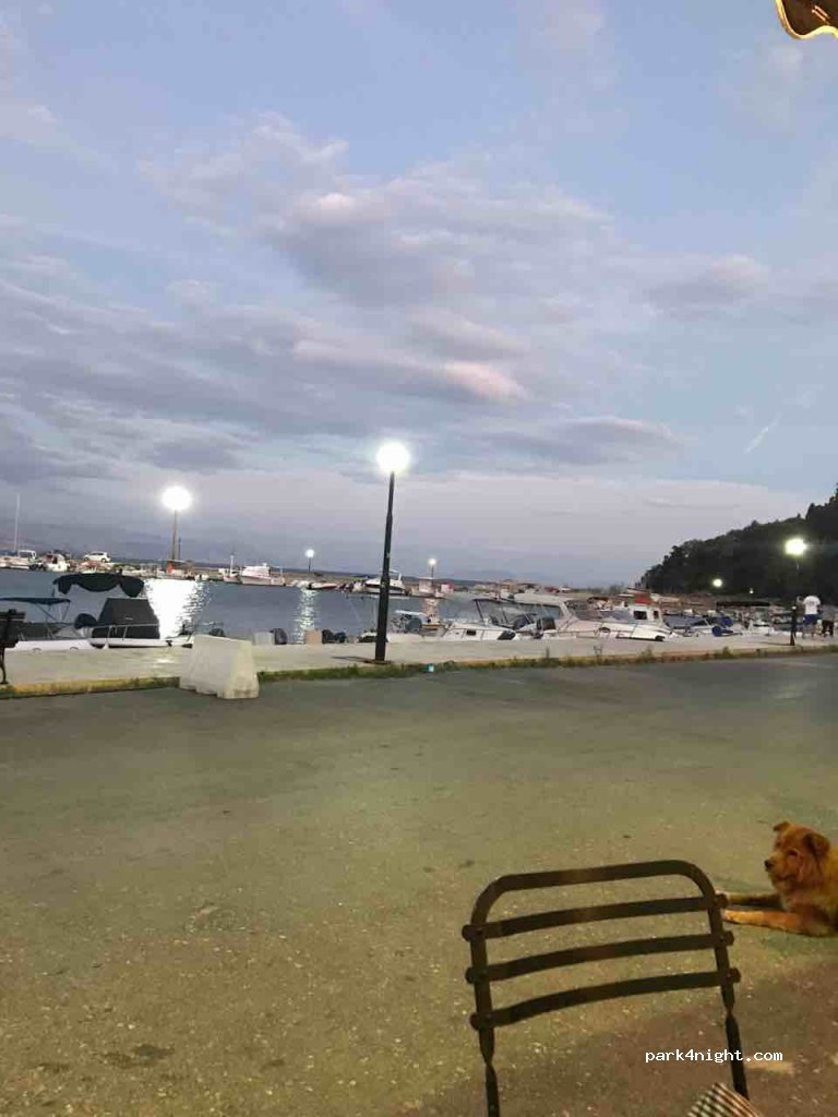 (490 83) Ipsos - Ipsos — foto
