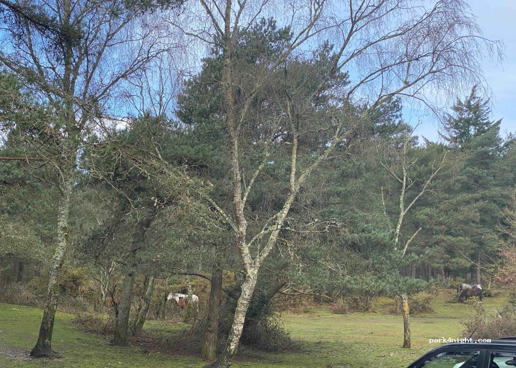 (SO42 7YR) Southampton - Beaulieu Road — foto 2