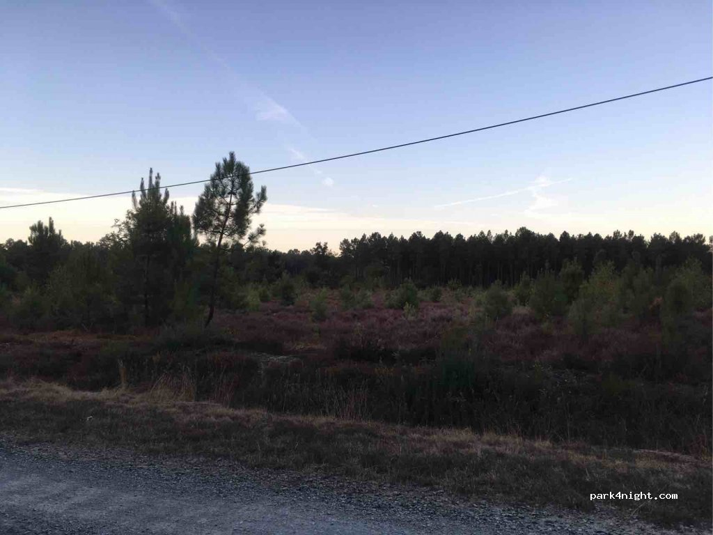 (49160) Longué-Jumelles - La Clairière — foto 2