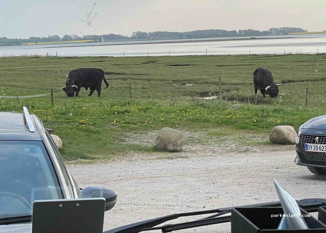 (8700) Horsens - 28 Vorsøvej — foto 4