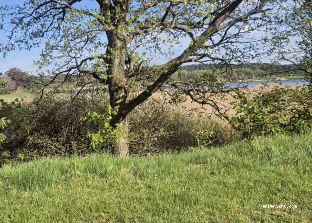 (8600) Silkeborg - Allinggårdsvej — foto 5
