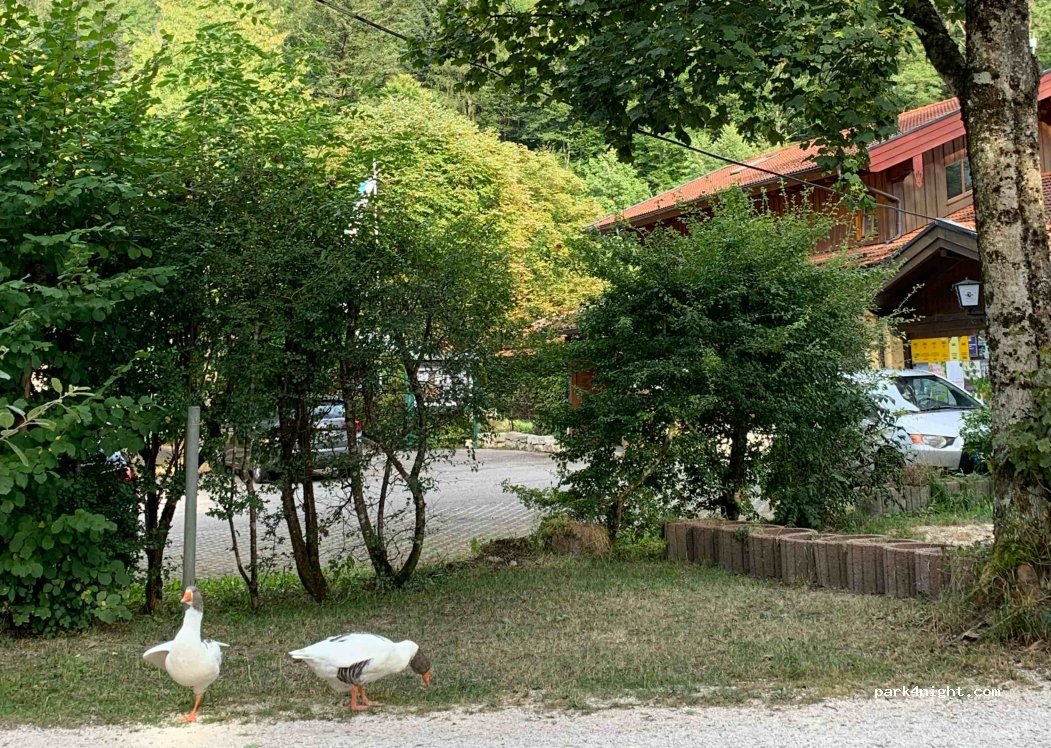 Camping - Litzelau — foto 2