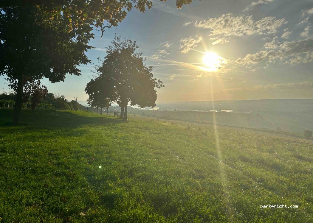 (55411) Bingen am Rhein - 1 Rochusberg — foto 2