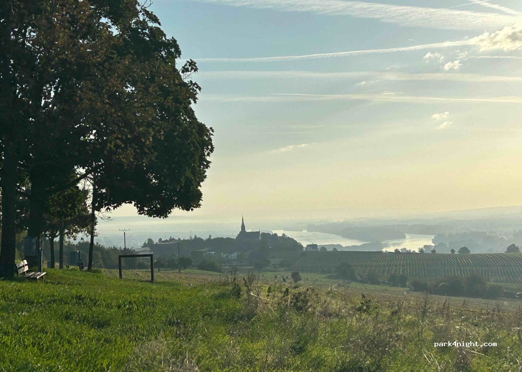 (55411) Bingen am Rhein - 1 Rochusberg — foto 3