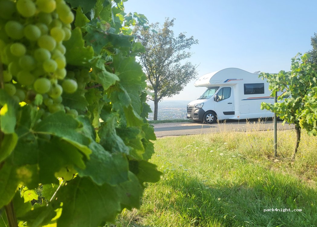 (55411) Bingen am Rhein - 1 Rochusberg — foto 5