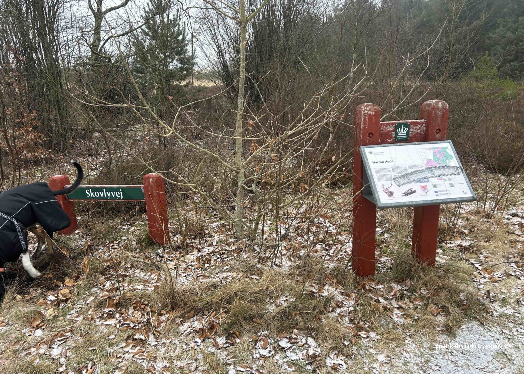 (7330) Brande - Bjerregårdvej — foto 2