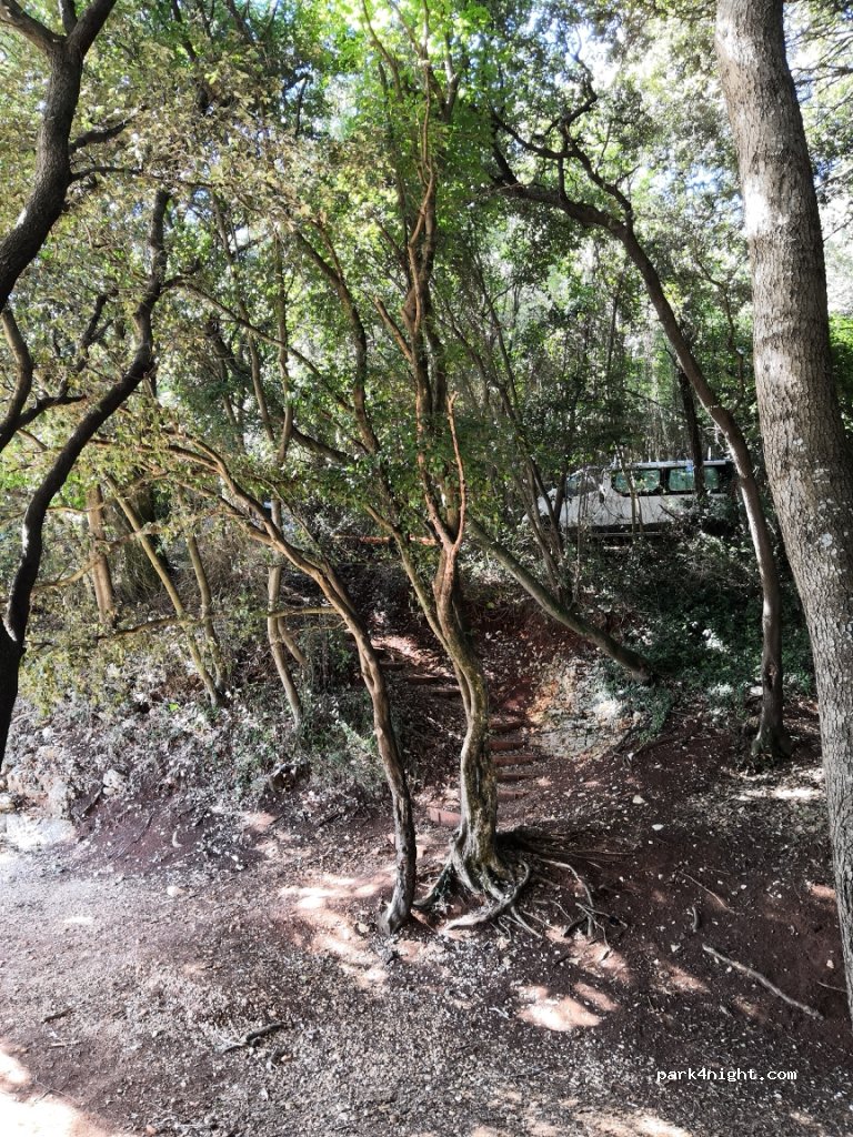 () Duga Luka - — foto