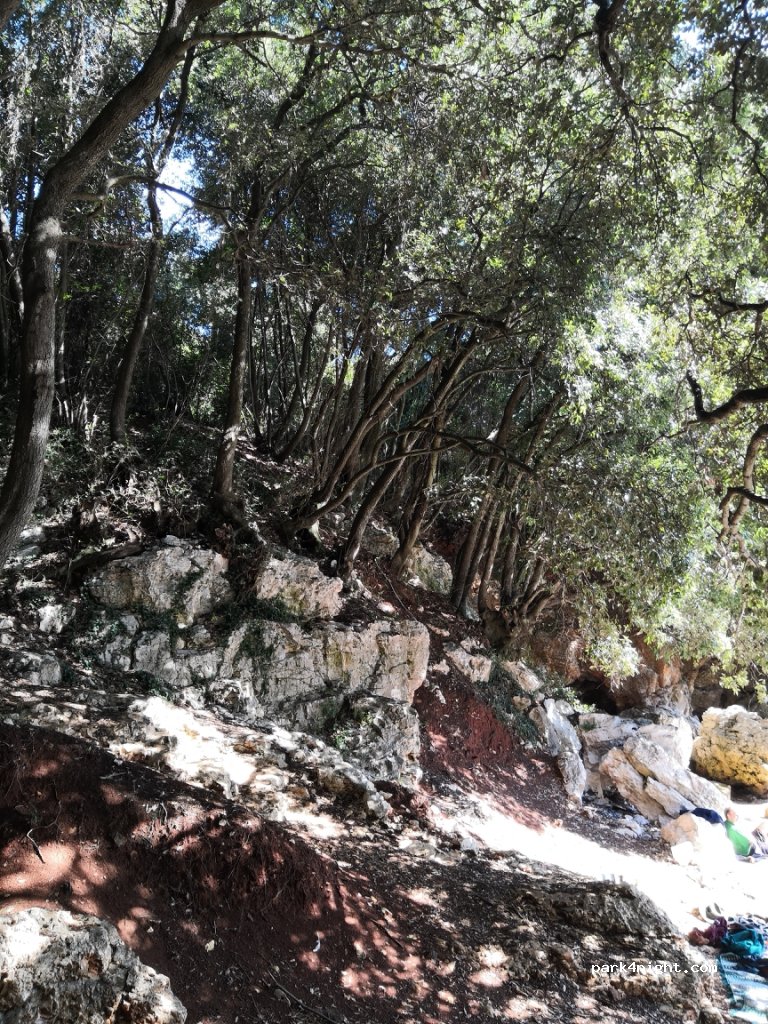 () Duga Luka - — foto 3