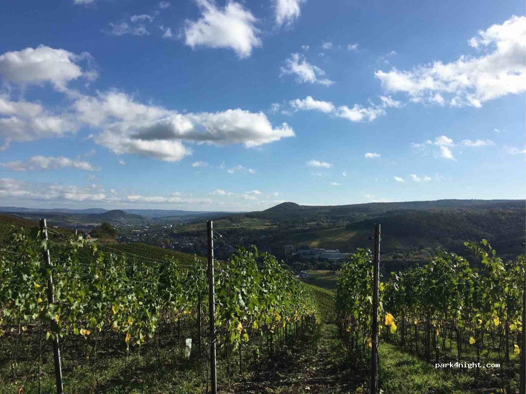 (53474) Bad Neuenahr-Ahrweiler - Im Teufenbach — foto
