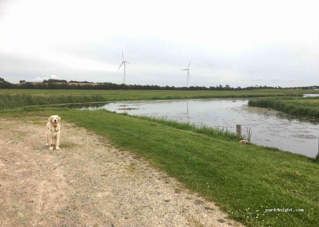 (9670) Løgstør - 155 Hobrovej — foto 4