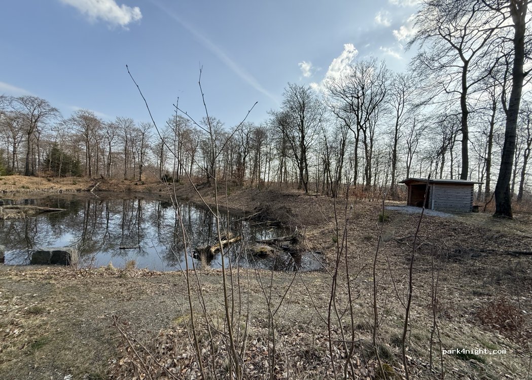 (59929) Brilon - Holzweg — foto 4