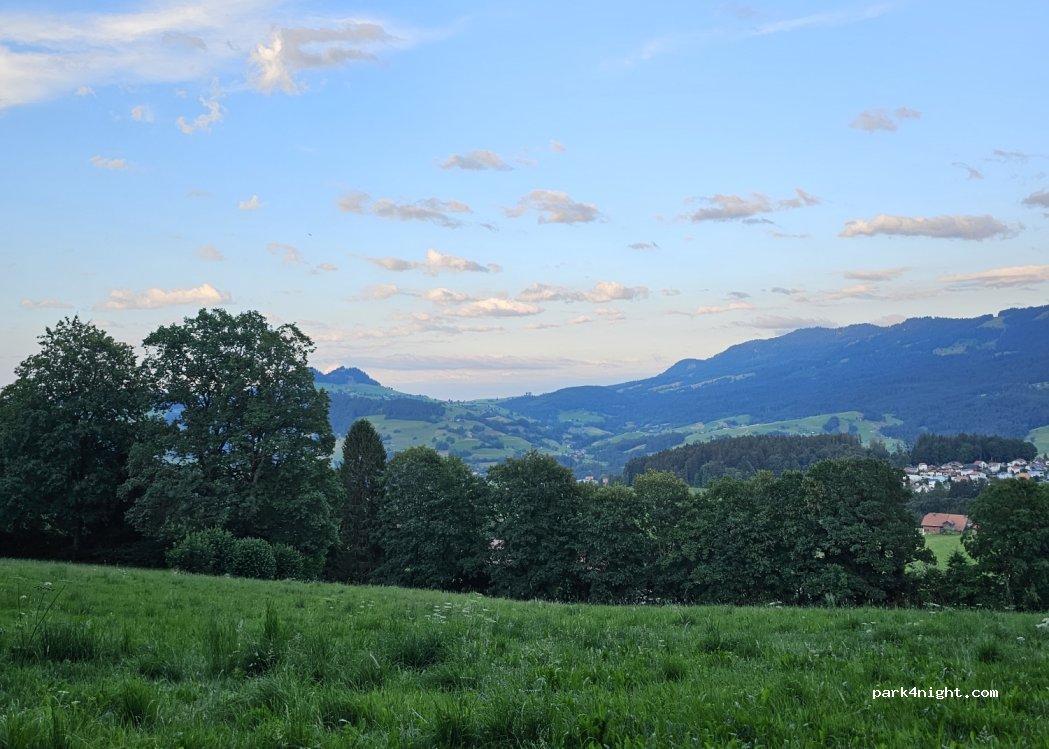 (1719) Brünisried - 60 Buecha — foto 2