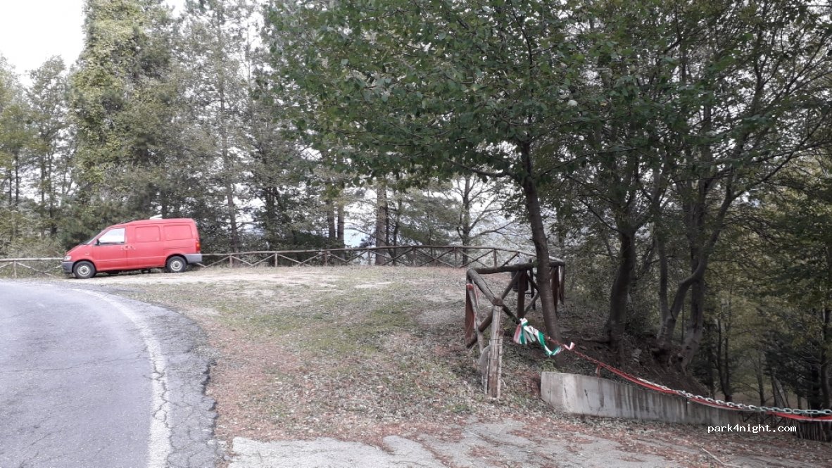 (17020) Testico - 23 SP13 — foto