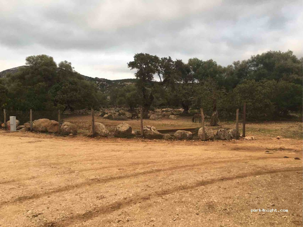 (08040) Baunei - Unnamed Road — foto 3