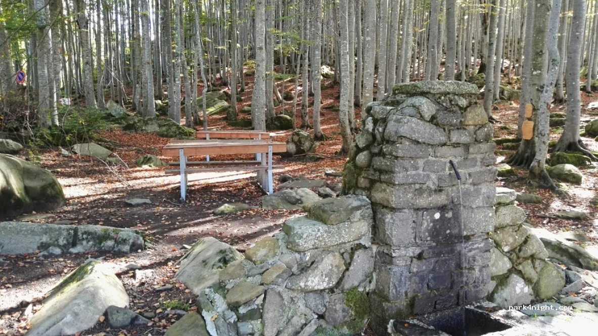 (43021) Corniglio - 150 Località Bosco — foto 2