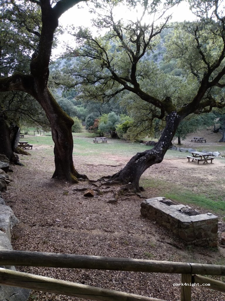 (11611) Villaluenga del Rosario - A-374 — foto 2