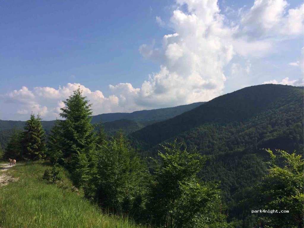 (976 03) Dolný Harmanec - 14 — foto 2
