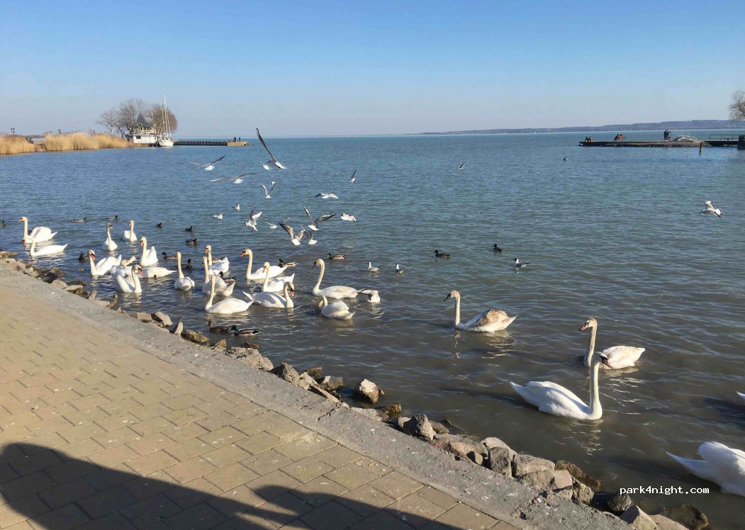 (8360) Keszthely - Csík Ferenc sétány — foto 2