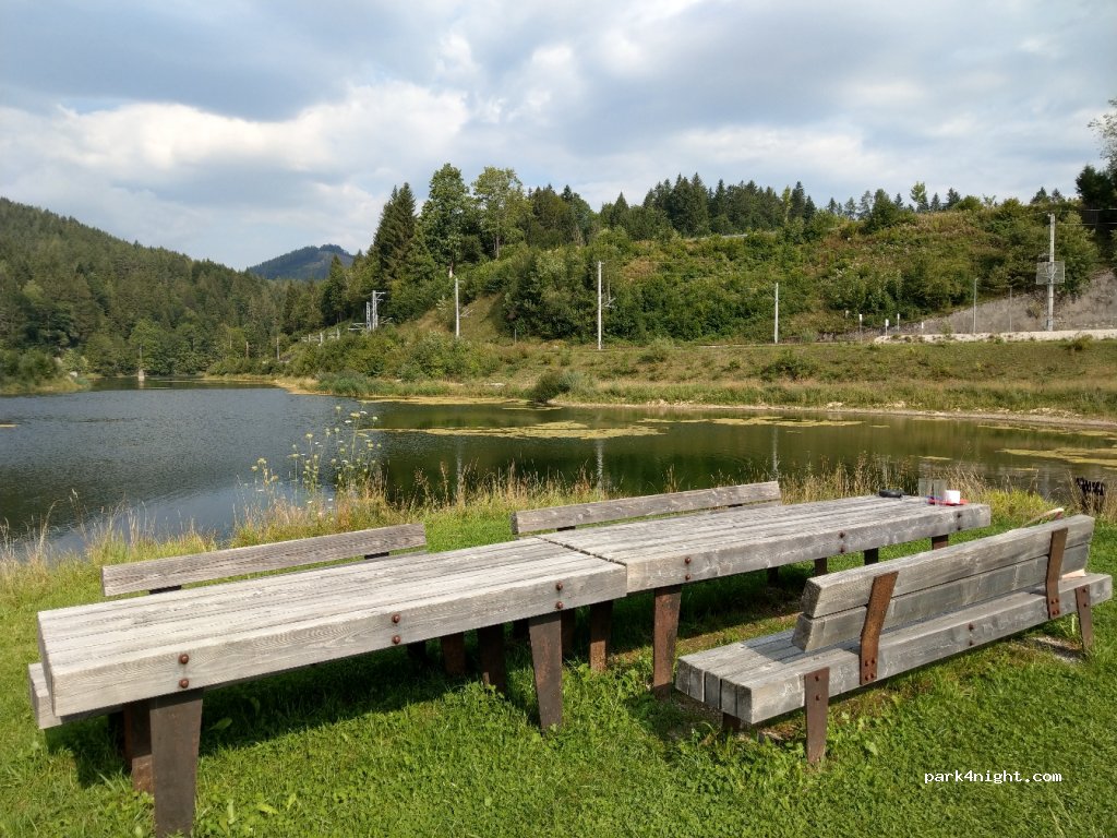 (3223) Langseitenrotte - 20 Langseitenrotte — foto 3