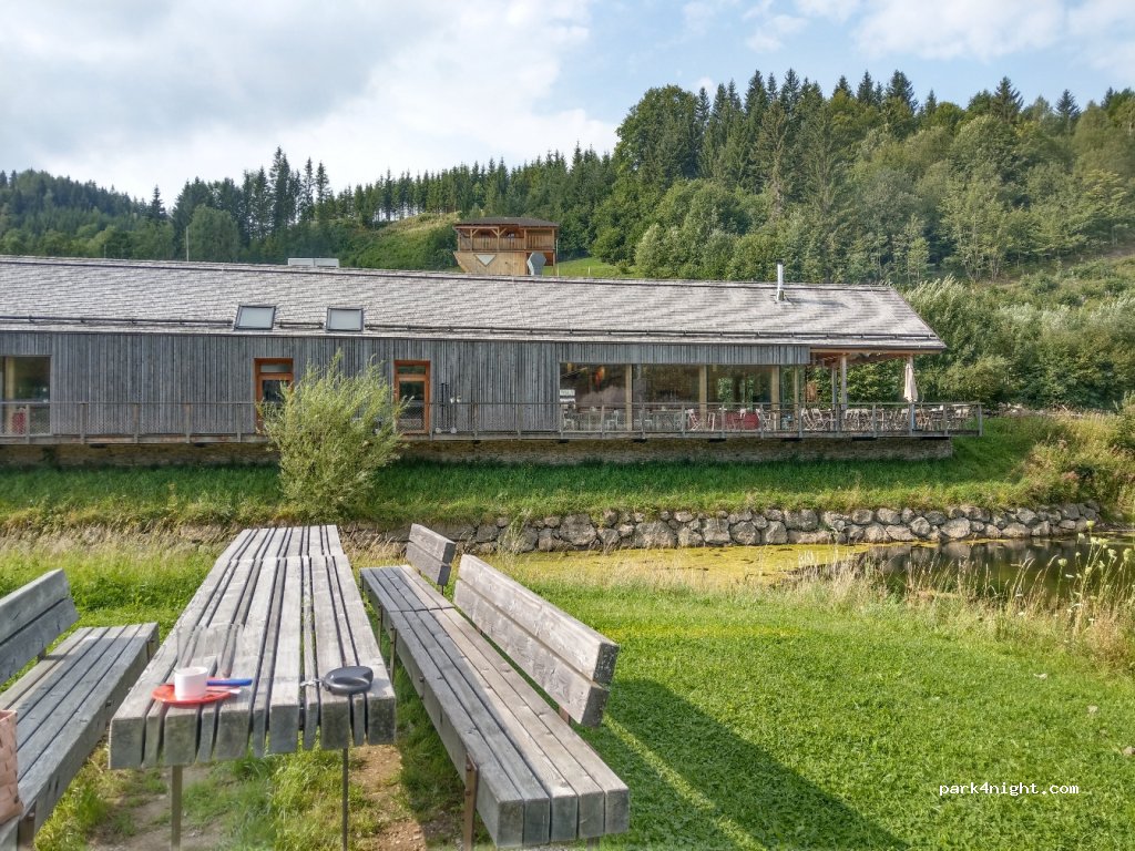 (3223) Langseitenrotte - 20 Langseitenrotte — foto 4