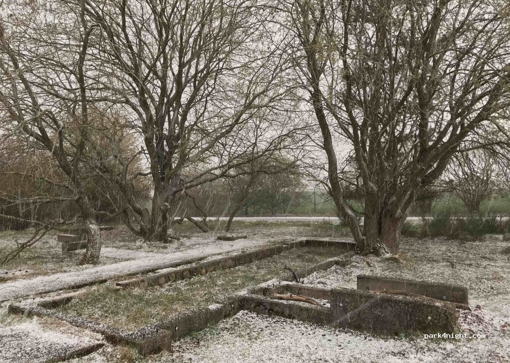 (67678) Mehlingen - Unnamed Road — foto 2