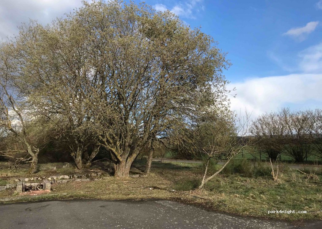 (67678) Mehlingen - Unnamed Road — foto 3